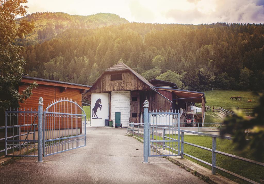 Raderhof Villa Feld am See Dış mekan fotoğraf